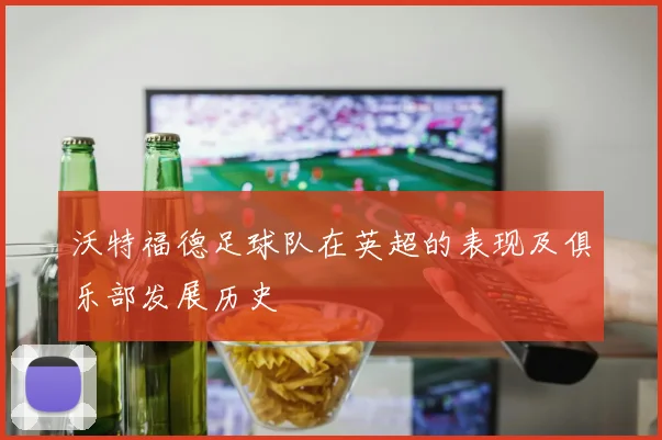 沃特福德足球队在英超的表现及俱乐部发展历史